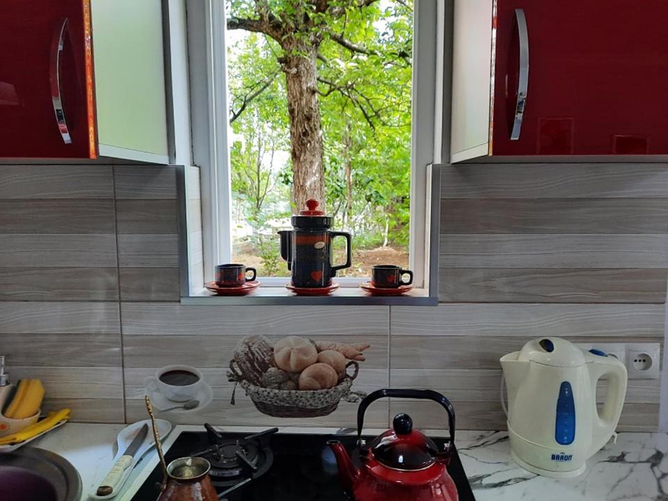A Rioni Hotel Kutaisi Ngoại thất bức ảnh