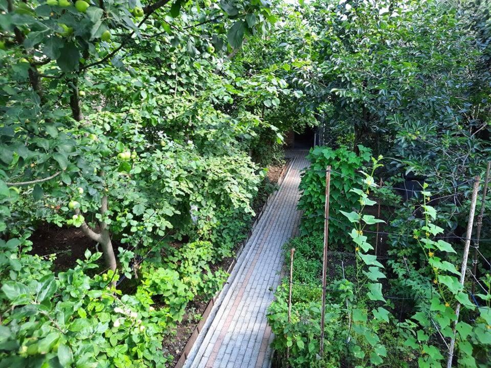 A Rioni Hotel Kutaisi Ngoại thất bức ảnh
